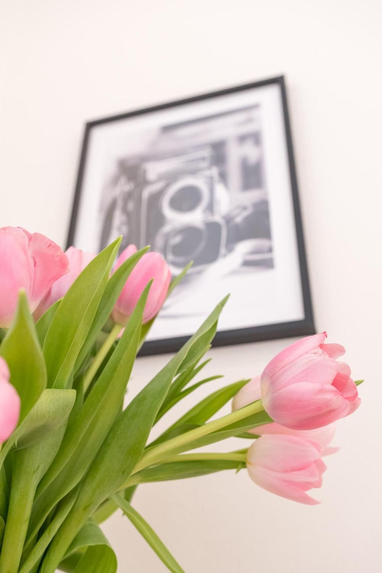 City Apartments Wina Bagian luar foto